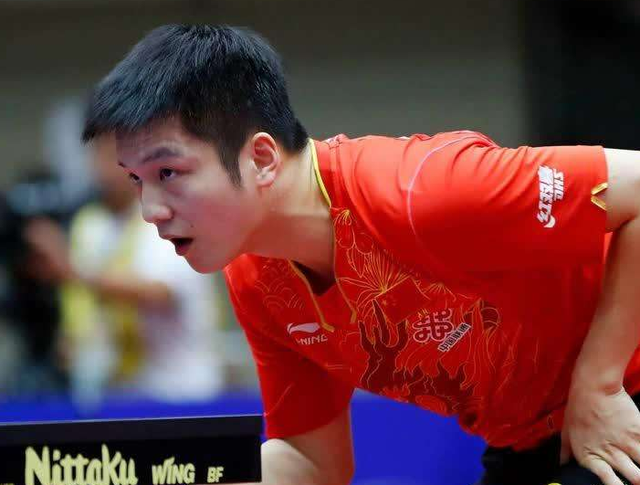 积极信号 积极信号