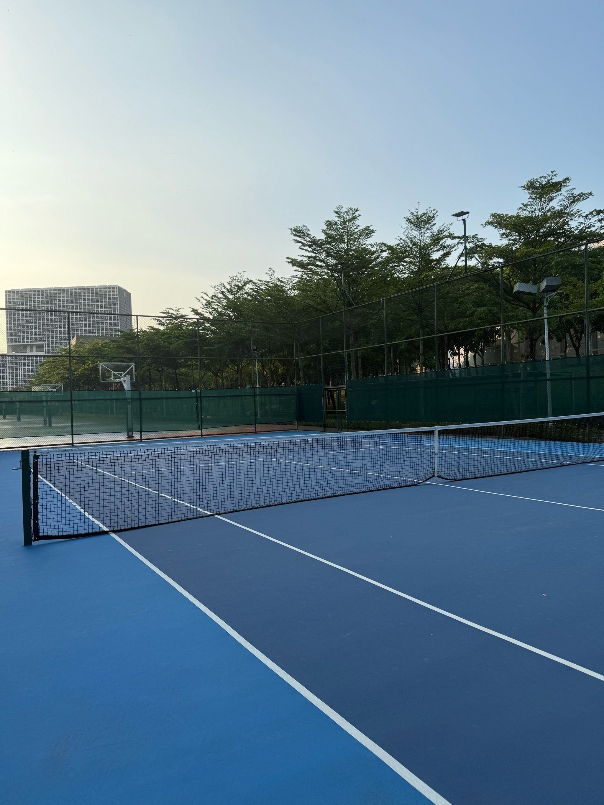 排位更高的 排位更高的