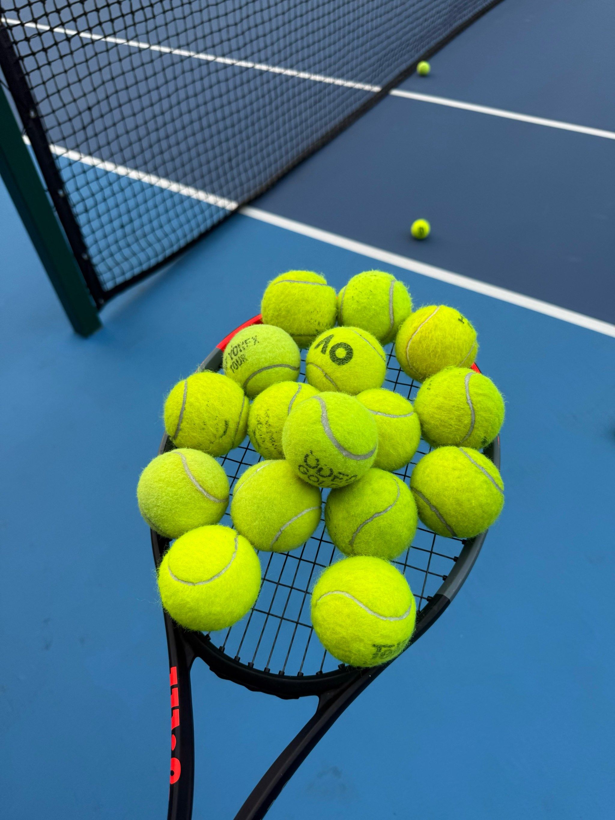 供了赛事资 供了赛事资