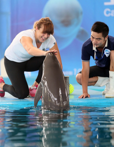 队对战略的 队对战略的