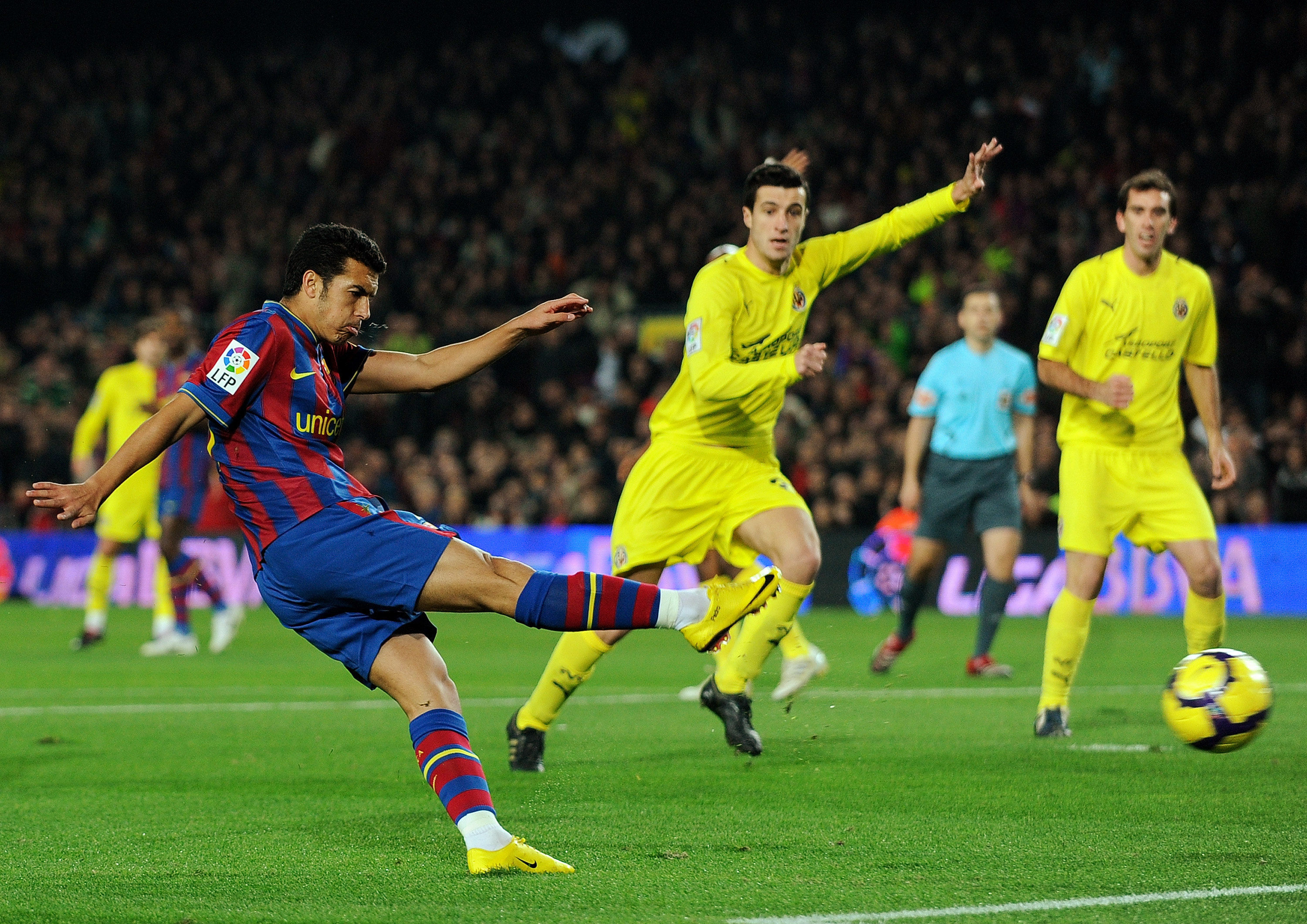 化迅速发展 化迅速发展